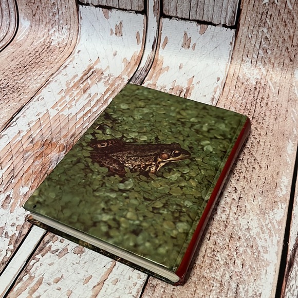 Inside Out: Young Explorer Stories - Picture 10 of 10